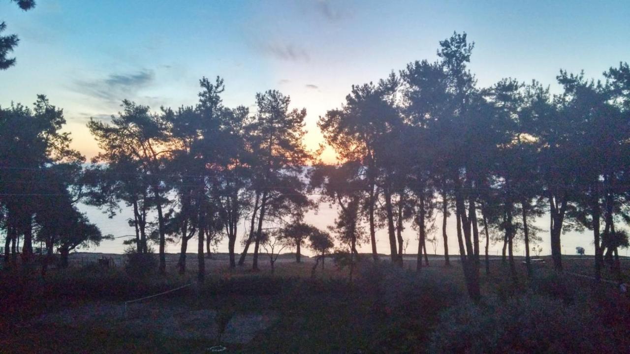Nisteri Seaside Daire Limenas  Dış mekan fotoğraf