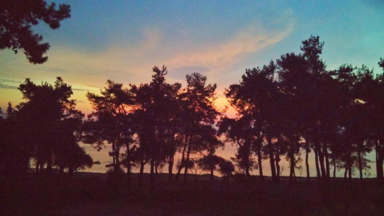 Nisteri Seaside Daire Limenas  Dış mekan fotoğraf