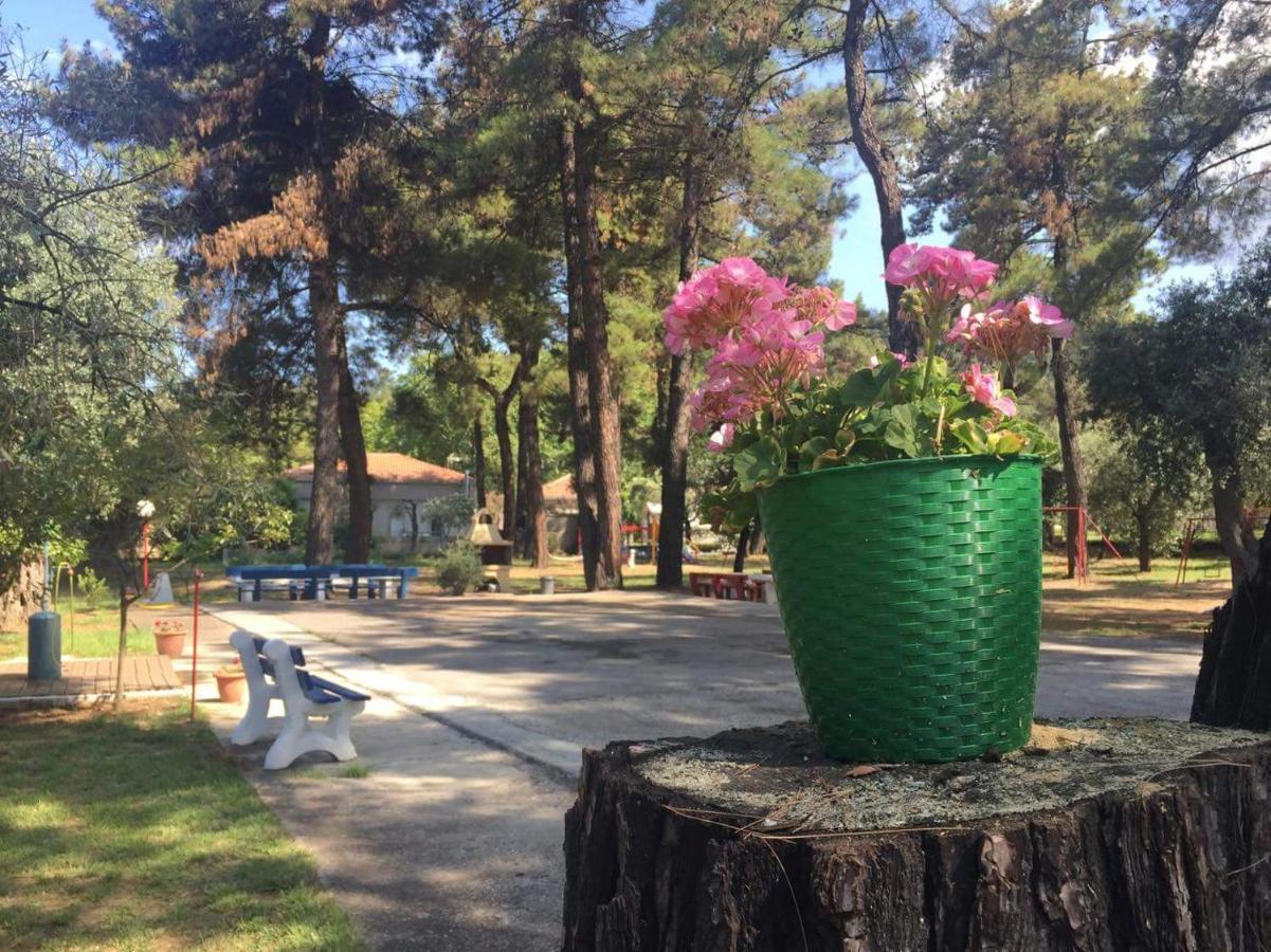 Nisteri Seaside Daire Limenas  Dış mekan fotoğraf