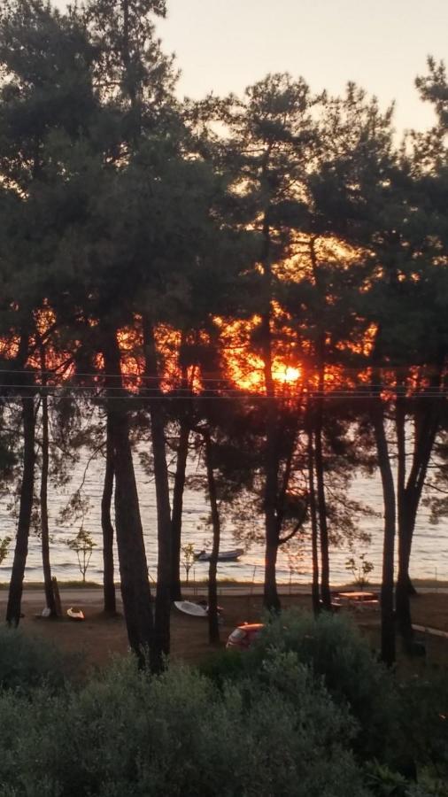 Nisteri Seaside Daire Limenas  Dış mekan fotoğraf