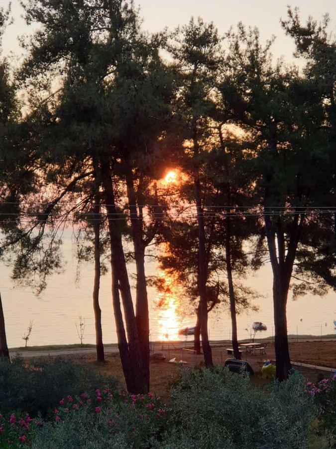 Nisteri Seaside Daire Limenas  Dış mekan fotoğraf