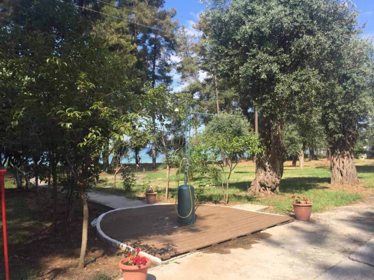 Nisteri Seaside Daire Limenas  Dış mekan fotoğraf